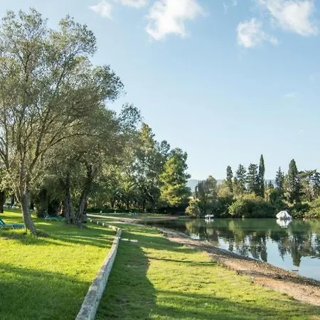 Apartment Palm Tree Corfu Apt. *