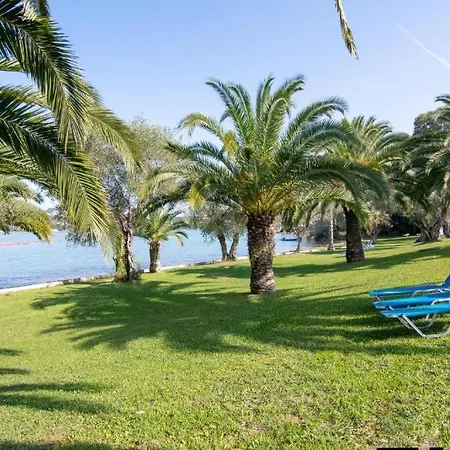 Διαμέρισμα Palm Tree Corfu Apt. Δανίλια